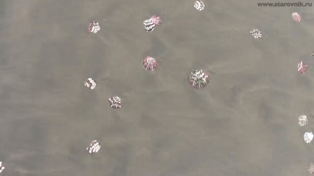 Ко и О #72 ПУТЕШЕСТВИЕ ВО ВЬЕТНАМ Travel to Vietnam смотреть онлайн