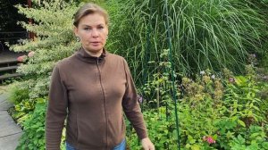 Как я борюсь со снытью, простой и возможно многим известный, способ