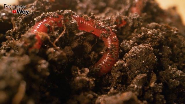 Это сделает землю рыхлой, пушистой и плодородной! смотреть онлайн