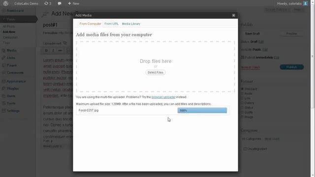 InstaFX, A Photo Filter WordPress Plugin by ColorLabs & Company смотреть онлайн