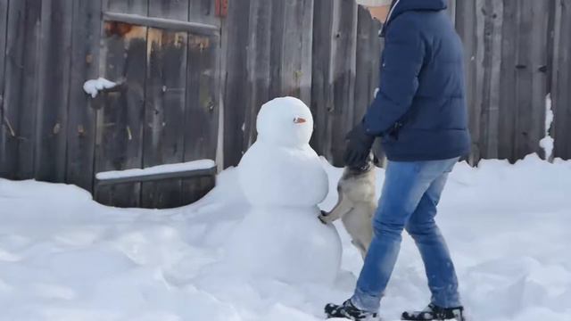 Френки ест снег 10 12 смотреть онлайн