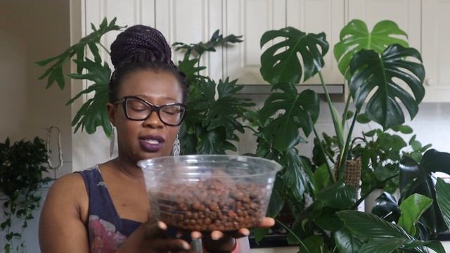 Beginner's Toolkit for Growing Plants in Leca смотреть онлайн