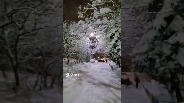 Тула, снег, ночь, улица, дом