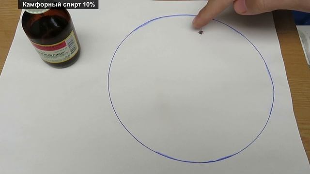 Камфорное масло от Клещей | Тест 10% масляного и спиртового раствора камфоры против иксодовых клеще
