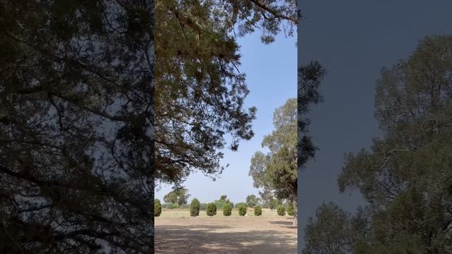 Кипр, Ларнака, парк