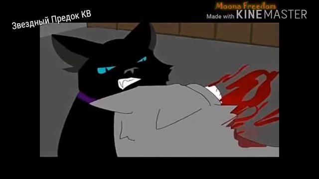 |Коты воители "любимец твоих дьяволов"| смотреть онлайн