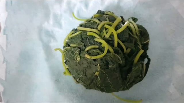 Дизайн и Стройка