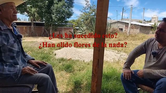 Don Genaro y las 23 cubetas con monedas de oro смотреть онлайн