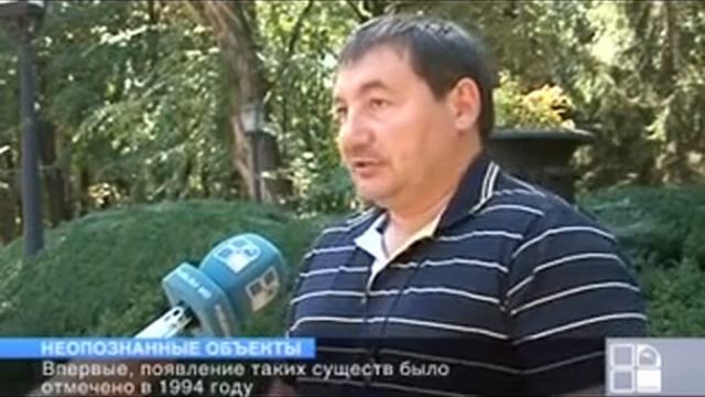 загадочные существа 2 смотреть онлайн