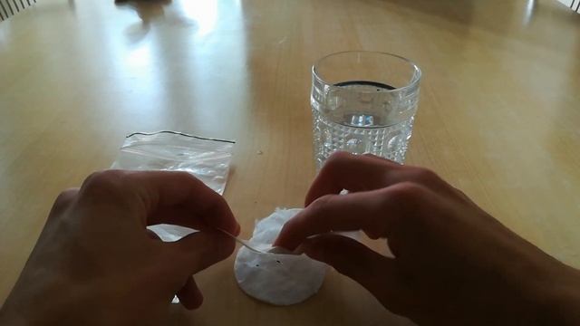 Как выращивать дионею(венерину мухоловку) из семян смотреть онлайн