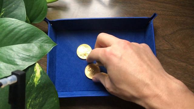 Coin Ping Test - 24k American Gold Buffalo vs 22k Gold Eagle смотреть онлайн