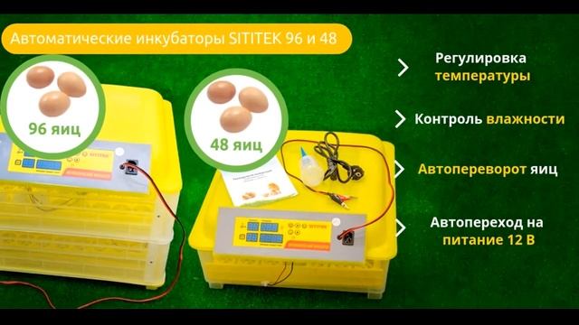 ОБЗОР АВТОМАТИЧЕСКИХ ИНКУБАТОРОВ SITITEK смотреть онлайн