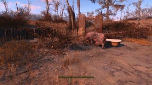 #FALLOUT 4 - Как Прокачать Поселенцев? / Гайд /