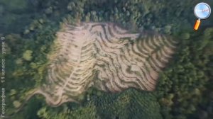 География 11 класс (Урок№9 - Общая характеристика региона Латинская Америка.)