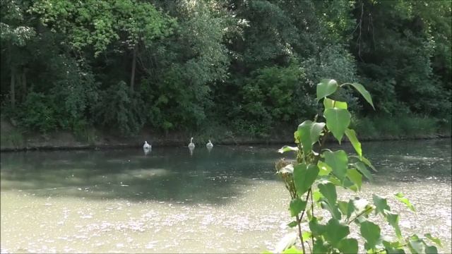 ГОРОДА СЕВЕРНОГО КАВКАЗА смотреть онлайн