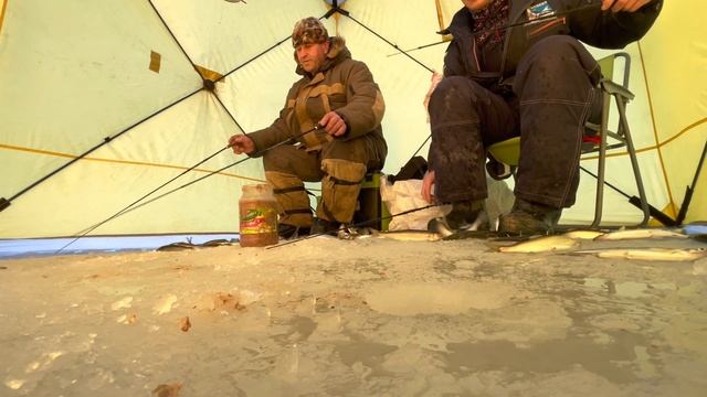 Рыбалка на Камчатке. Поймали 2000 тысячи штук за один день! Корюшка! смотреть онлайн