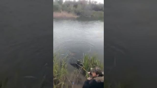 15 nisan 11kilo sazan yakaladik смотреть онлайн