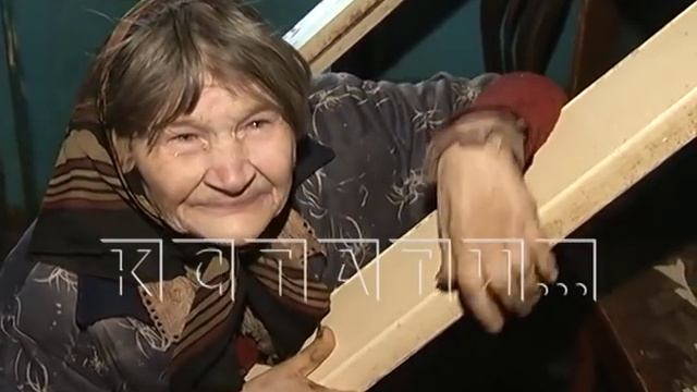 Полчища тараканов выживают из своего дома жителей улицы Усилова смотреть онлайн