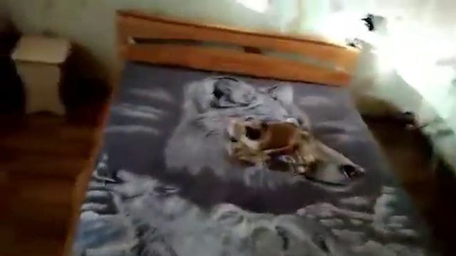 Акимов Евгений, Днепр, купил кровать и матрас смотреть онлайн