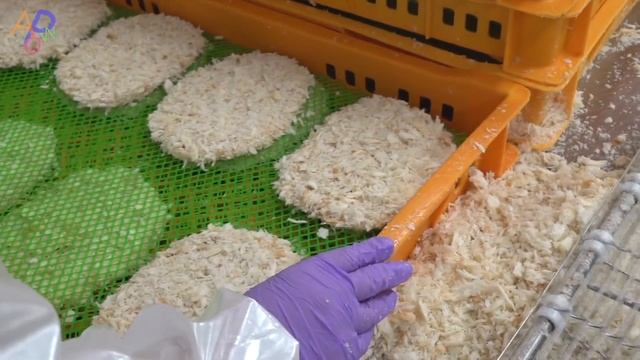 Pork Cutlet Mass Making in Korea. Fried Food Factory смотреть онлайн