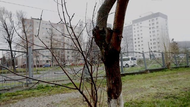 Визитная карточка для учителя ОБЖ смотреть онлайн