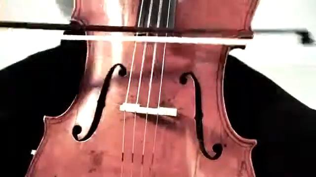 Музыкальный квартет для гостей