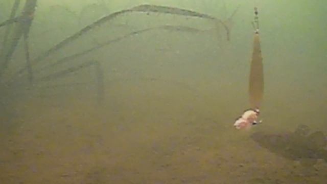 НУ И РОЖА!))) РЫБАЛКА С ПОДВОДНОЙ КАМЕРОЙ. ПЕРВЫЙ ЛЁД. смотреть онлайн