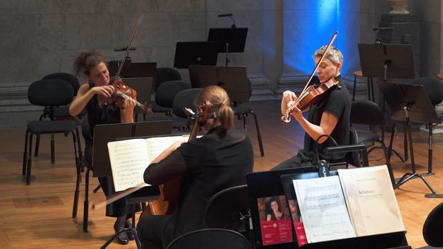 Franz Schubert: String Trio in B-flat major, D.581 смотреть онлайн