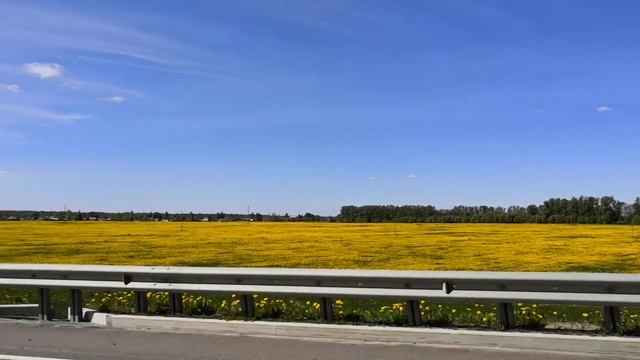 Ленинградская область на машине. Копорская крепость и Кингисепп за 1 день. Куда поехать на майские? смотреть онлайн