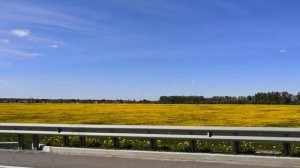 Ленинградская область на машине. Копорская крепость и Кингисепп за 1 день. Куда поехать на майские?