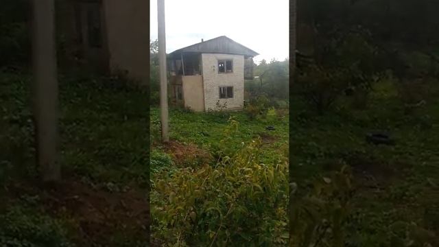 Дача звезда смотреть онлайн