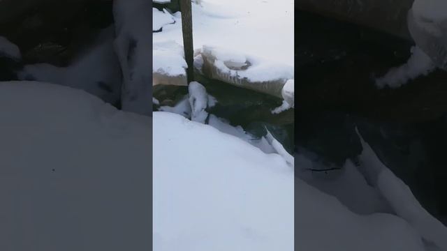 Зона отдыха подо льдом. смотреть онлайн