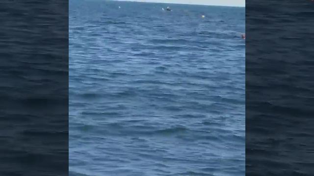 Чистое море в Анапе есть. смотреть онлайн