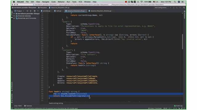 Building your own terraform provider by Maksym Danyliuk (Rus) смотреть онлайн