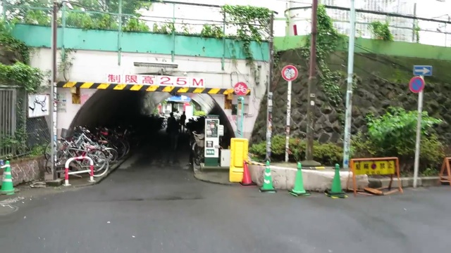 Япония влог. Уютная Сибуя, милая француженка, съемки для постера.