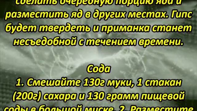 Как бороться с крысами и мышами? смотреть онлайн