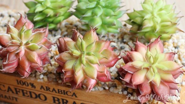 Relax music|Relax with Stone Lotus flower| Relax to learn better смотреть онлайн