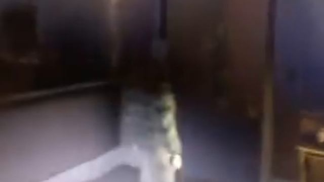 GTA 4 на слабом ноутбуке смотреть онлайн