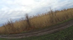 Краснодарский край охота на шакала.смотреть было круто.