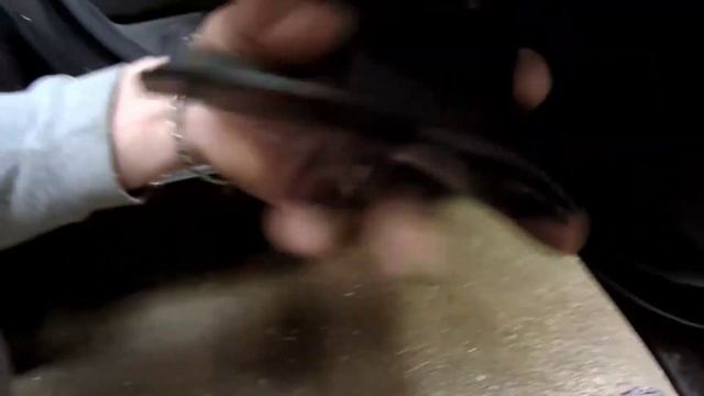 Познавательное путешествие с Honda