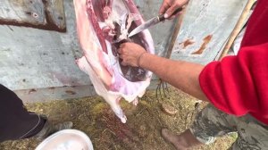 Как разделать барана