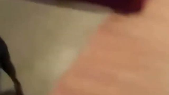 Собака едет на дачу!Пес жжет,озвучка супер,смотреть обязательно! смотреть онлайн