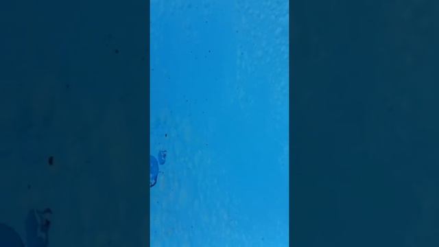 pool paint смотреть онлайн