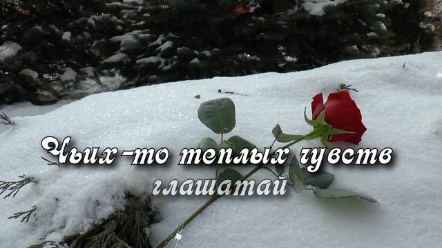 Роза на снегу. Красивая музыкальная открытка. смотреть онлайн