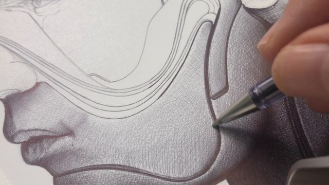 Full process ballpoint pen drawing - "Carvings" Series смотреть онлайн