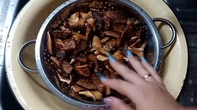 грибы маслята - заготовки на зиму - поддубники смотреть онлайн