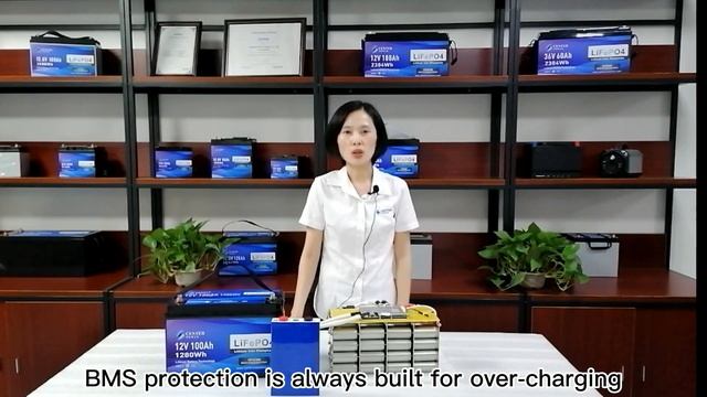 12v 100ah LiFePO4 battery смотреть онлайн