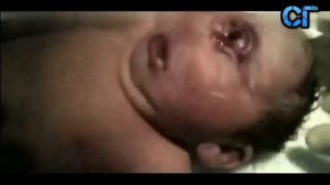 Циклоп существует