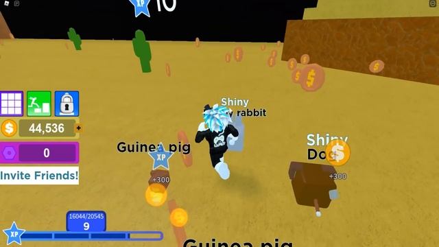 НОВЫЙ СИМУЛЯТОР ПИТОМЦЕВ! КИНУЛИ НА 200,000 В СИМУЛЯТОРЕ МОНЕТ! ROBLOX Coin Collection Simulator смотреть онлайн