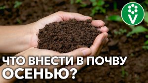 ОБЕДНЕЛА ПОЧВА? ВОТ КАК ВОССТАНОВИТЬ ПЛОДОРОДИЕ для больших урожаев в следующем году!